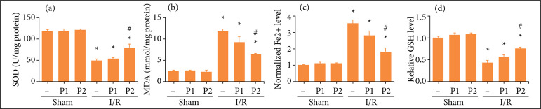 Puerarin alleviated oxidative stress and ferroptosis during renal fibrosis induced by ischemia/reperfusion injury via TLR4/Nox4 pathway in rats.