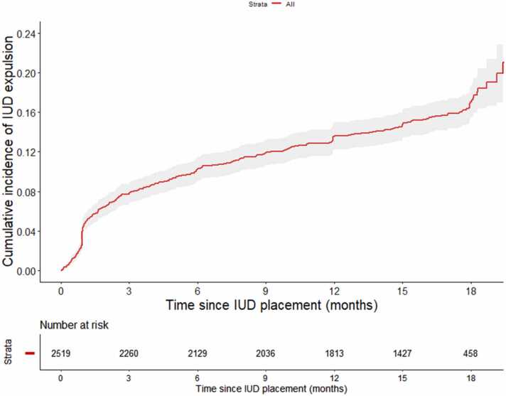 Clinical outcomes of intrauterine device insertions by newly trained providers: The ECHO trial experience