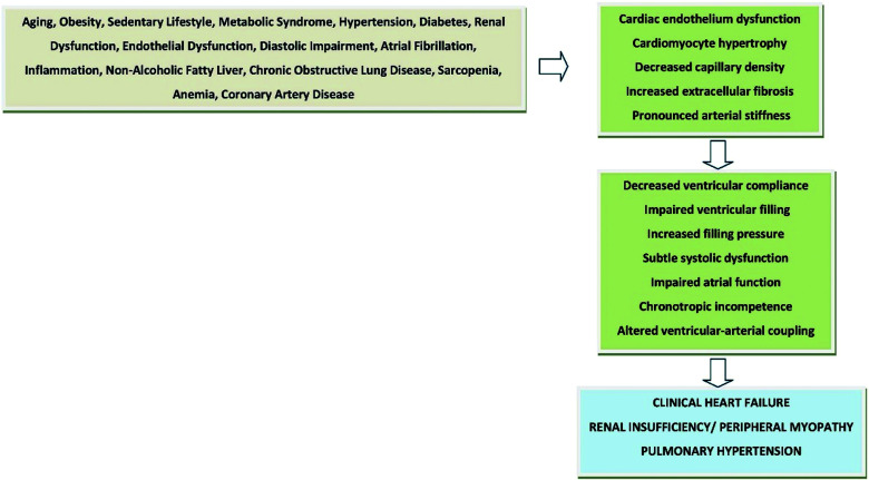 Emerging concepts in heart failure management and treatment: focus on SGLT2 inhibitors in heart failure with preserved ejection fraction.