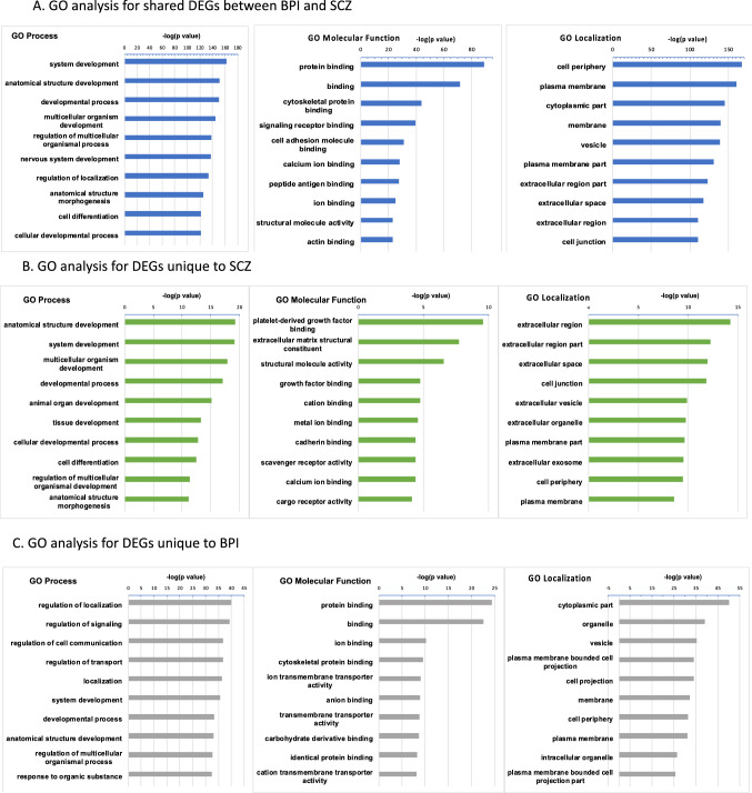 Disease-specific differences in gene expression, mitochondrial function and mitochondria-endoplasmic reticulum interactions in iPSC-derived cerebral organoids and cortical neurons in schizophrenia and bipolar disorder.