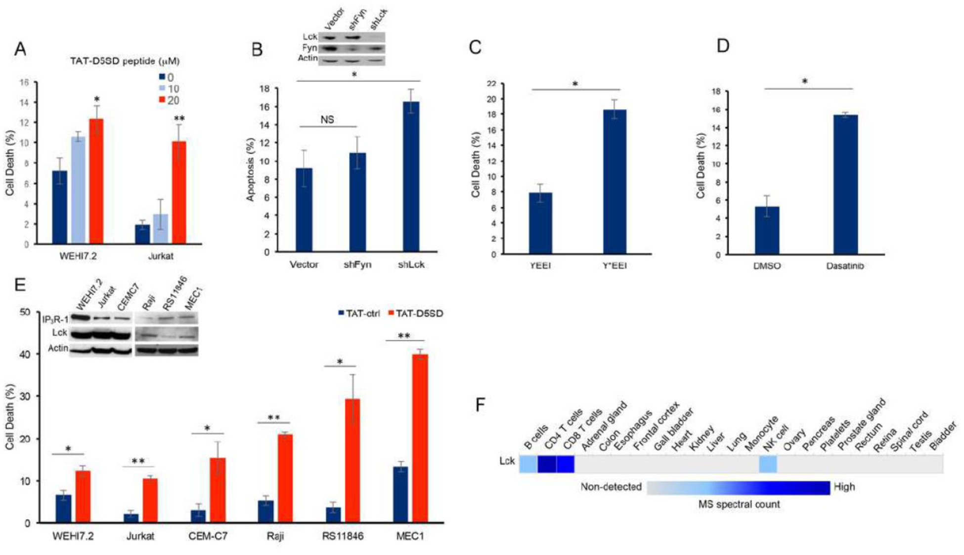 A Novel Peptide that Disrupts the Lck-IP<sub>3</sub>R Protein-Protein Interaction Induces Widespread Cell Death in Leukemia and Lymphoma.