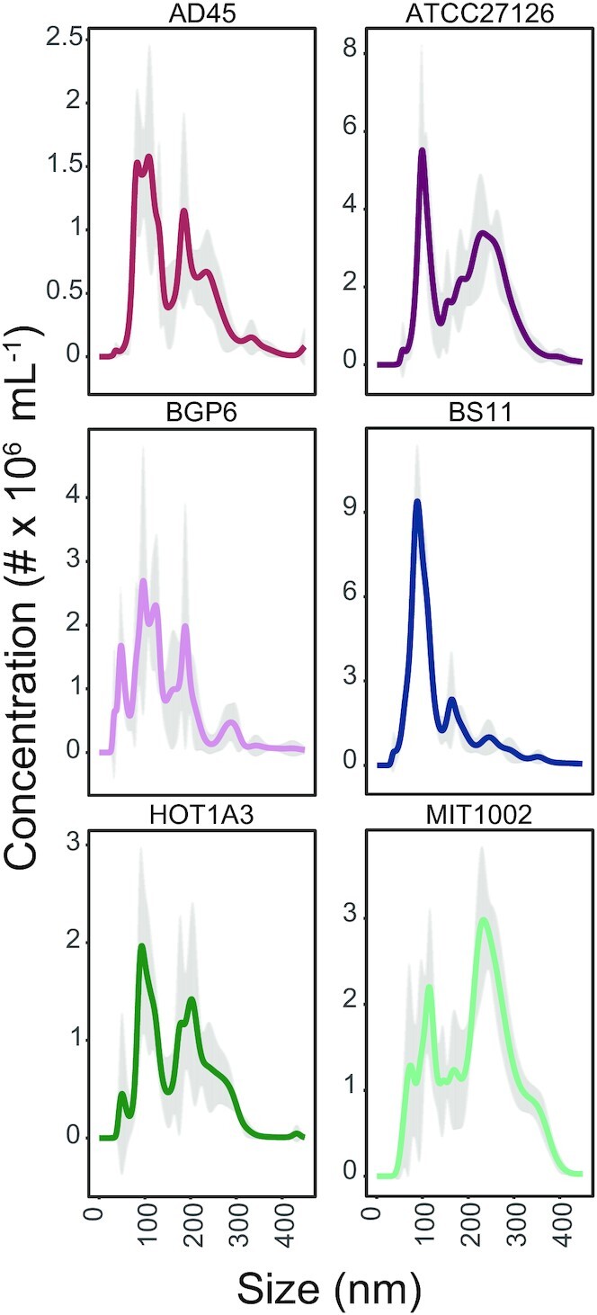 Characterization of membrane vesicles in <i>Alteromonas macleodii</i> indicates potential roles in their copiotrophic lifestyle.