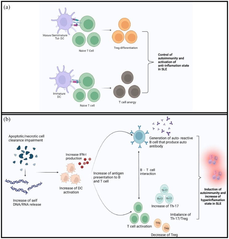 Significant improvement of systemic lupus erythematosus manifestation in children after autologous dendritic cell transfer: a case report and review of literature.