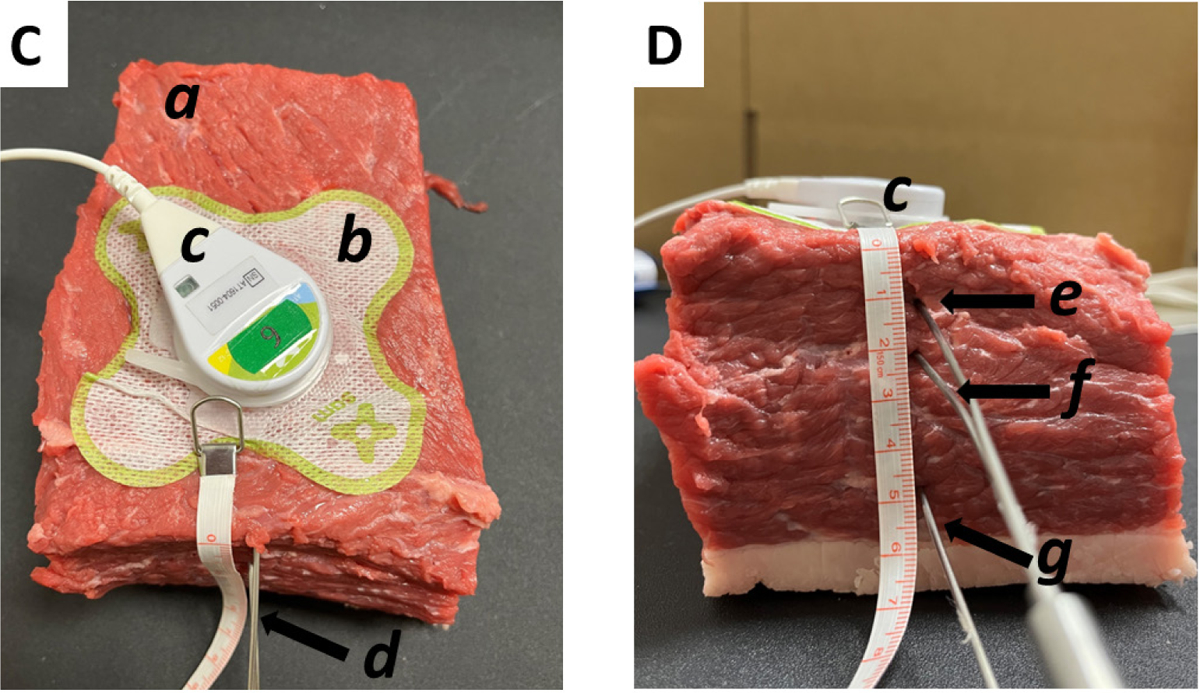 Clinical Diathermy Performance Evaluation of Multi-hour Sustained Acoustic Medicine Treatment with 2.5% Diclofenac Ultrasound Coupling Patch.