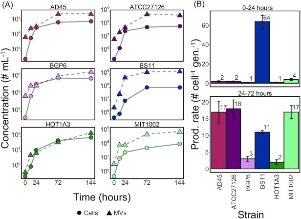 Characterization of membrane vesicles in <i>Alteromonas macleodii</i> indicates potential roles in their copiotrophic lifestyle.