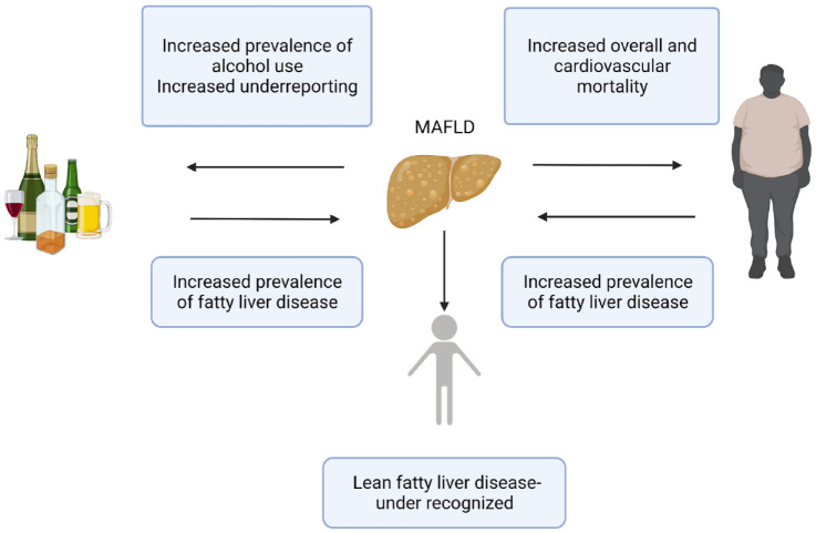 The bidirectional impacts of alcohol consumption and MAFLD for progressive fatty liver disease.