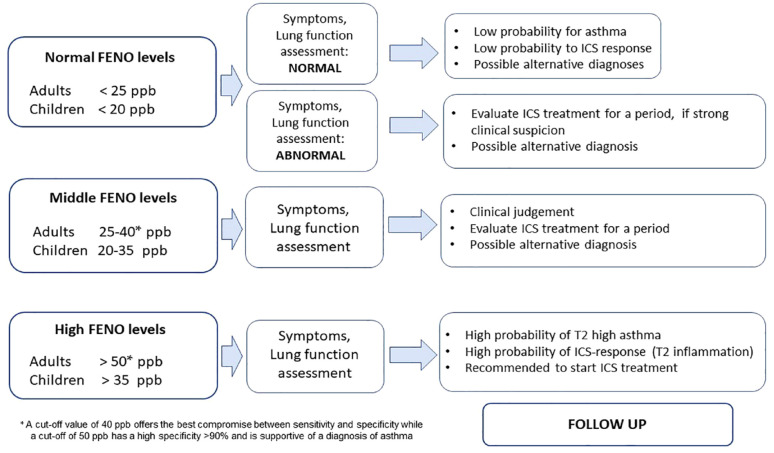 Fractional nitric oxide measurement in exhaled air (FeNO): perspectives in the management of respiratory diseases.