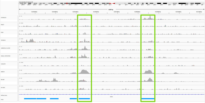 Enhancer/gene relationships: Need for more reliable genome-wide reference sets.