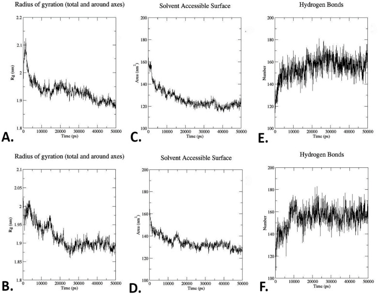 In Silico Functional Characterization of a Hypothetical Protein From <i>Pasteurella Multocida</i> Reveals a Novel <i>S</i>-Adenosylmethionine-Dependent Methyltransferase Activity.