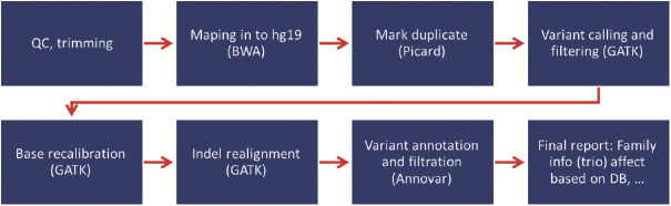 A Novel Missense Mutation in the TGF-β-binding Protein-Like Domain 3 of <i>FBN1</i> Causes Weill-Marchesani Syndrome with Intellectual Disability.