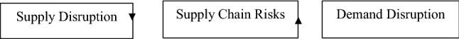 Demand and Supply Disruptions During the Covid-19 Crisis on Firm Productivity.