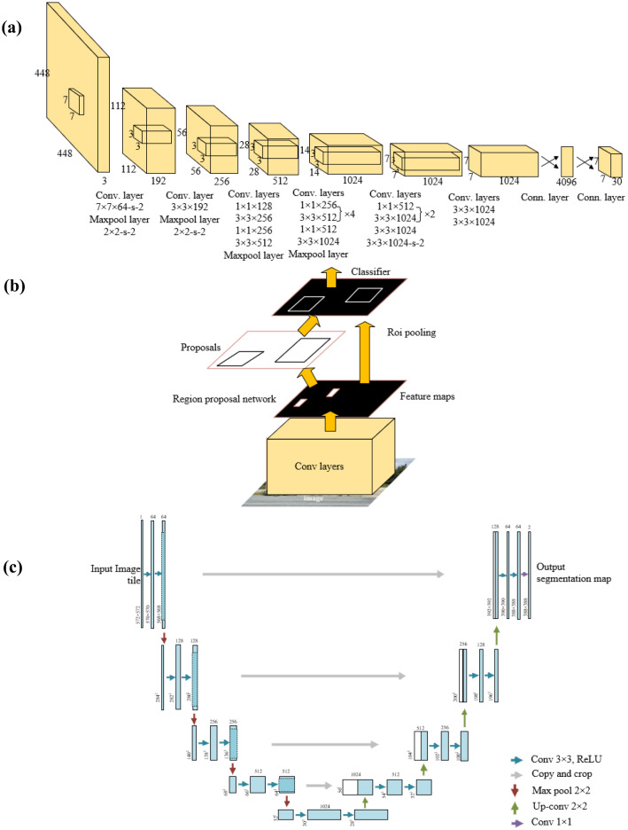 Organoids revealed: morphological analysis of the profound next generation in-vitro model with artificial intelligence.