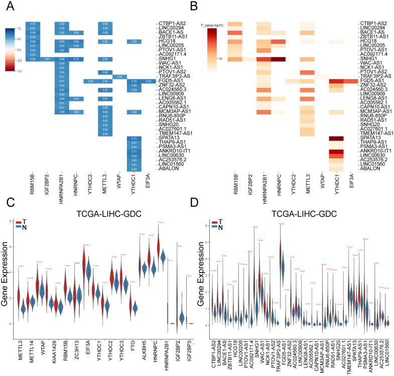 The Prognostic Value of a lncRNA Risk Model Consists of 9 m6A Regulator-Related lncRNAs in Hepatocellular Carcinoma (HCC).