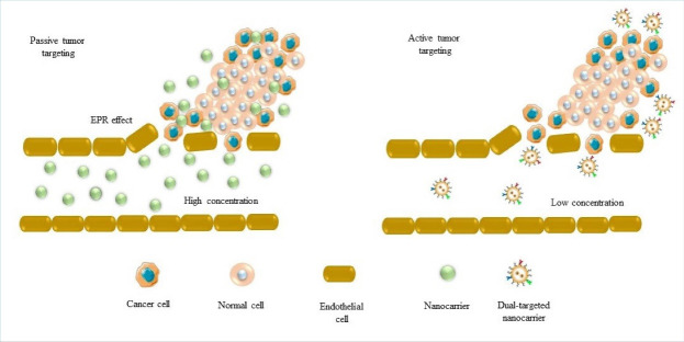 Dual-targeting of brain tumors with nanovesicles.