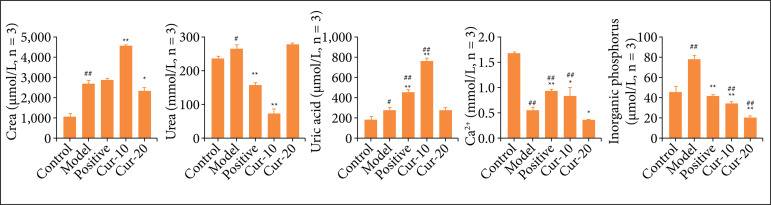 Curcumin alleviated oxidation stress injury by mediating osteopontin in nephrolithiasis rats.