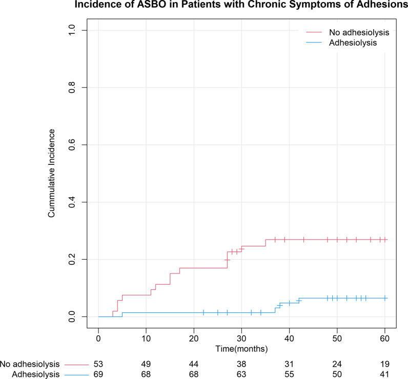 Elective adhesiolysis for chronic abdominal pain reduces long-term risk of adhesive small bowel obstruction.