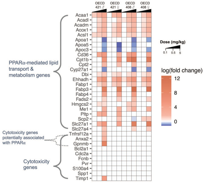 Assessment of Mouse Liver Histopathology Following Exposure to HFPO-DA With Emphasis on Understanding Mechanisms of Hepatocellular Death.