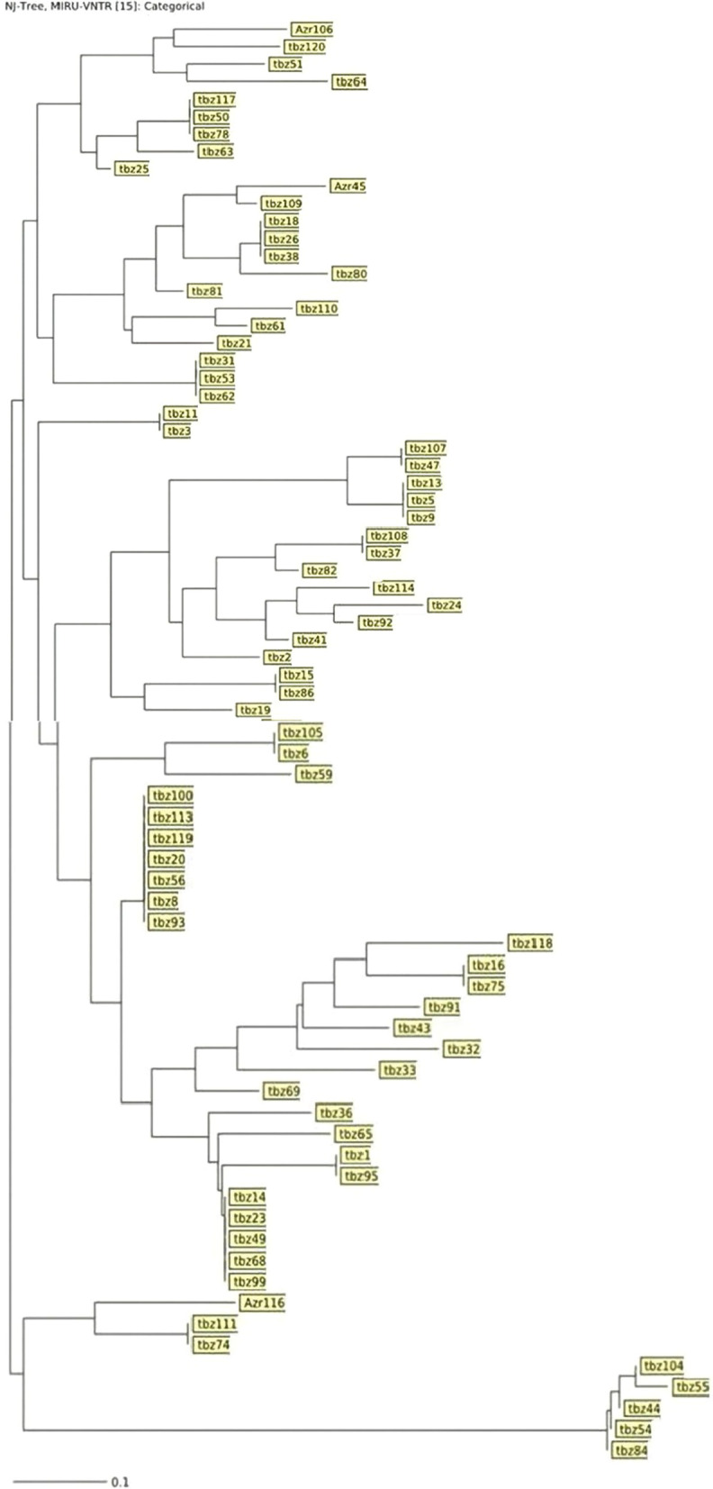 Genetic diversity of <i>Mycobacterium tuberculosis</i> isolates from northwest of Iran during COVID-19 era.