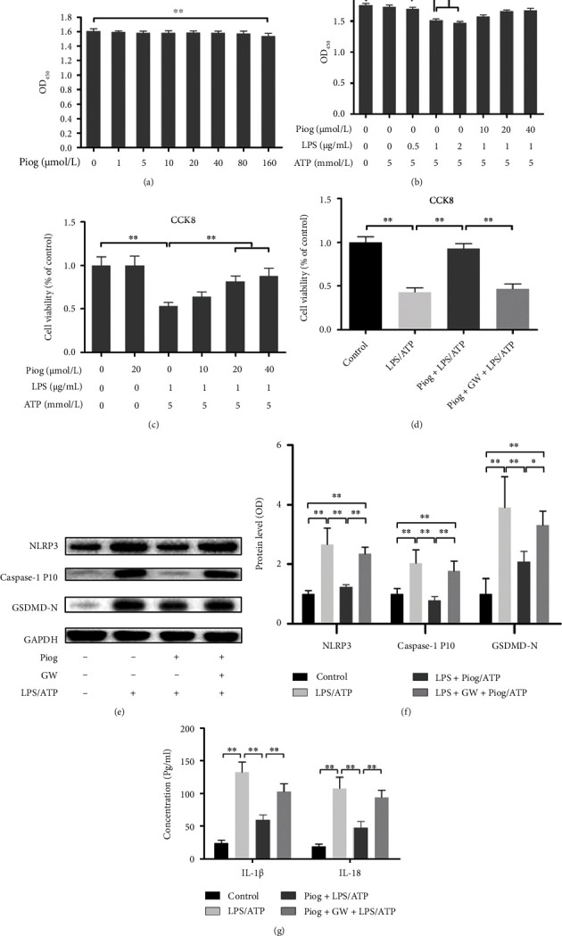 PPAR-<i>γ</i> Activation Alleviates Osteoarthritis through Both the Nrf2/NLRP3 and PGC-1<i>α</i>/<i>Δψ</i> <sub>m</sub> Pathways by Inhibiting Pyroptosis.