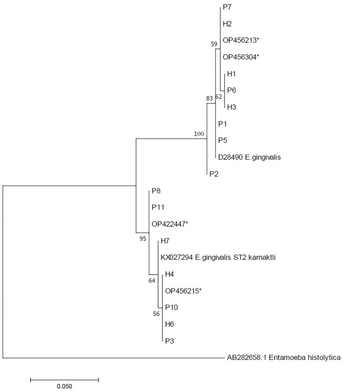 First molecular detection of Entamoeba gingivalis subtypes in individuals from Turkey.