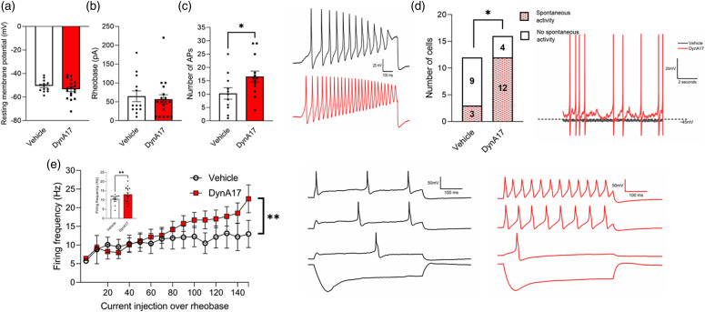 Pain-related behavioral and electrophysiological actions of dynorphin A (1-17).