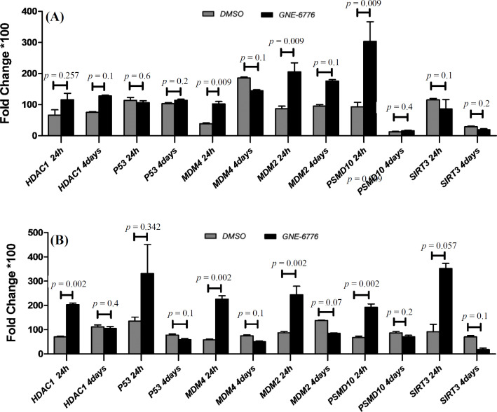 A New Insight Into p53-Inhibiting Genes in Epstein–Barr Virus-Associated Gastric Adenocarcinoma