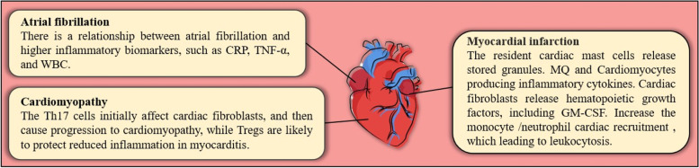 Progranulin (PGRN) as a regulator of inflammation and a critical factor in the immunopathogenesis of cardiovascular diseases.