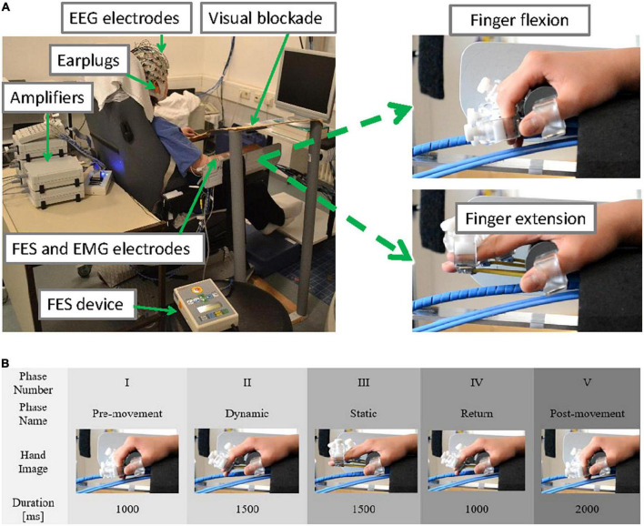 Cortical processing during robot and functional electrical stimulation.