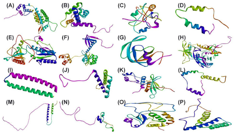 <i>In-silico</i> Structural Modeling of Human Immunodeficiency Virus Proteins.