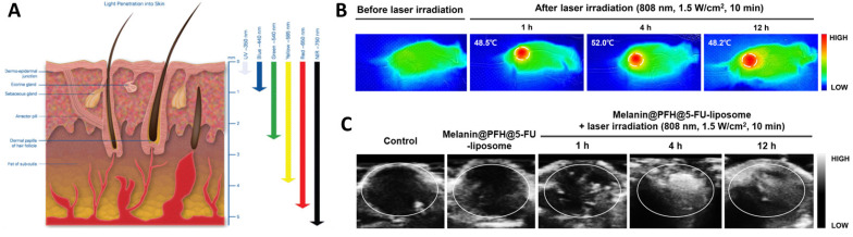 Current Trends in Nanotheranostics: A Concise Review on Bioimaging and Smart Wearable Technology.