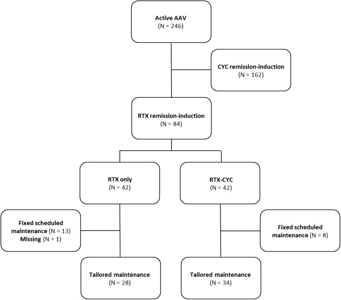 Adding low dose cyclophosphamide to rituximab for remission-induction may prolong relapse-free survival in patients with ANCA vasculitis: A retrospective study