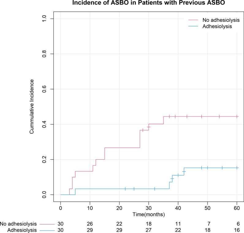 Elective adhesiolysis for chronic abdominal pain reduces long-term risk of adhesive small bowel obstruction.