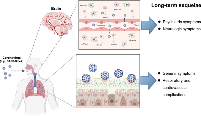 Overview of the potential use of fluvoxamine for COVID-19 and long COVID.