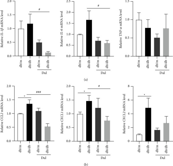 Dulaglutide Protects Mice against Diabetic Sarcopenia-Mediated Muscle Injury by Inhibiting Inflammation and Regulating the Differentiation of Myoblasts.