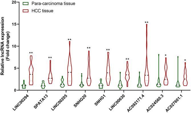 The Prognostic Value of a lncRNA Risk Model Consists of 9 m6A Regulator-Related lncRNAs in Hepatocellular Carcinoma (HCC).