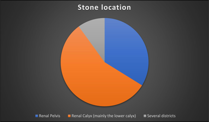 Treatment of 2-4 cm kidney stones: multicentre experience. Comparison of safety, efficacy, and costs of percutaneous nephrolithotomy and retrograde intrarenal surgery.