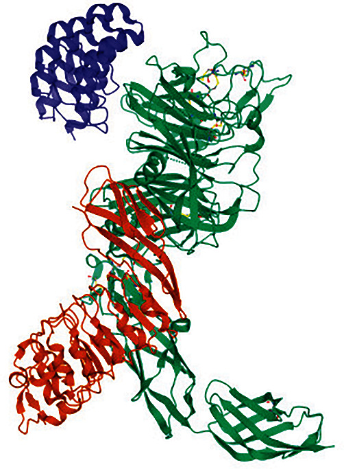 An In silico Approach towards Finding the Cancer-Causing Mutations in Human MET Gene.