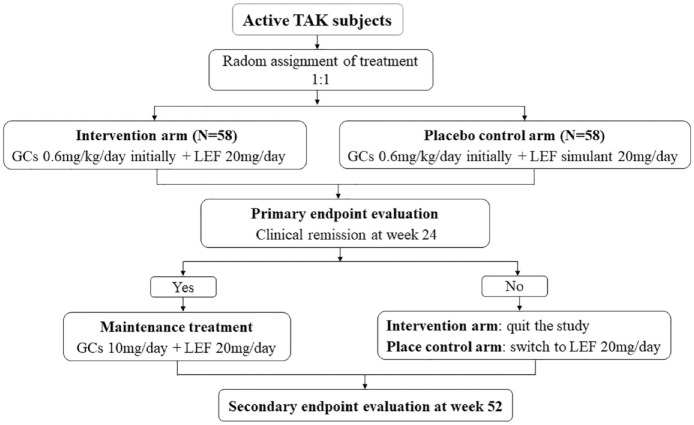 Comparison of the efficacy and safety of leflunomide versus placebo combined with basic prednisone therapy in patients with active disease phase of Takayasu arteritis: study protocol for a randomized, double-blinded controlled trial (Takayasu arteritis clinical trial in China: TACTIC).