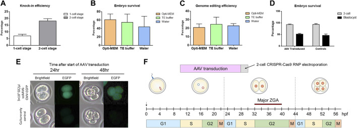 Efficient DNA knock-in using AAV-mediated delivery with 2-cell embryo CRISPR-Cas9 electroporation.