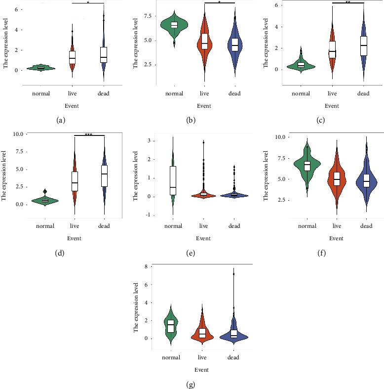 Construction and Analysis of Hepatocellular Carcinoma Prognostic Model Based on Random Forest.