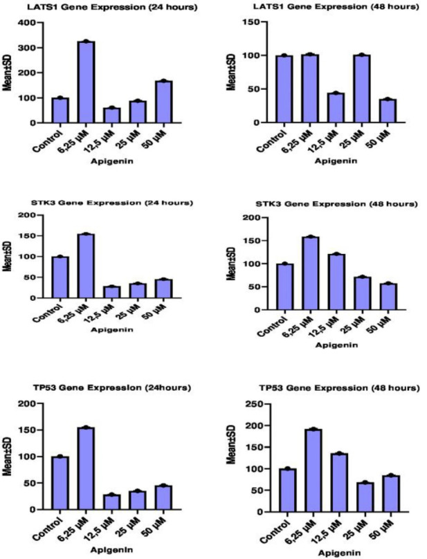 Investigation of the Effects of Apigenin, a Possible Therapeutic Agent, on Cytotoxic and SWH Pathway in Colorectal Cancer (HT29) Cells.