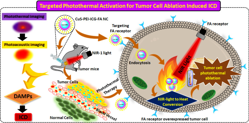 Ultra-small NIR-Responsive Nanotheranostic Agent for Targeted Photothermal Ablation Induced Damage-Associated Molecular Patterns (DAMPs) from Post-PTT of Tumor Cells Activate Immunogenic Cell Death.