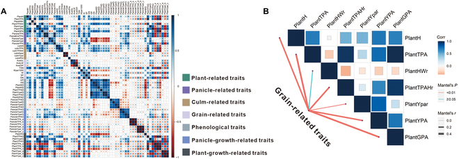 A Strategy for the Acquisition and Analysis of Image-Based Phenome in Rice during the Whole Growth Period.