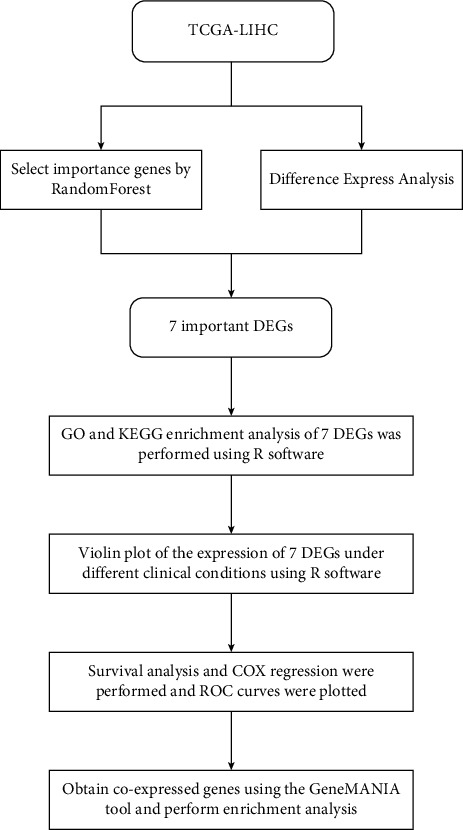 Construction and Analysis of Hepatocellular Carcinoma Prognostic Model Based on Random Forest.