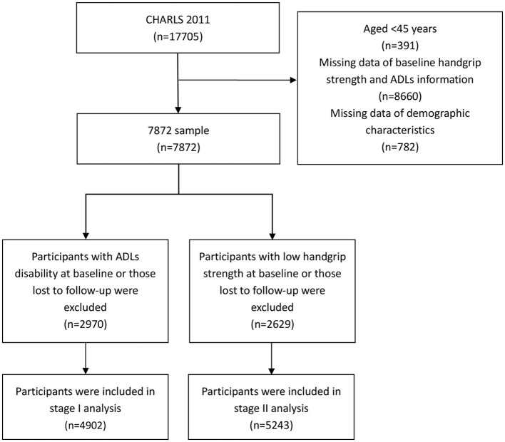 Bidirectional association between handgrip strength and ADLs disability: a prospective cohort study.