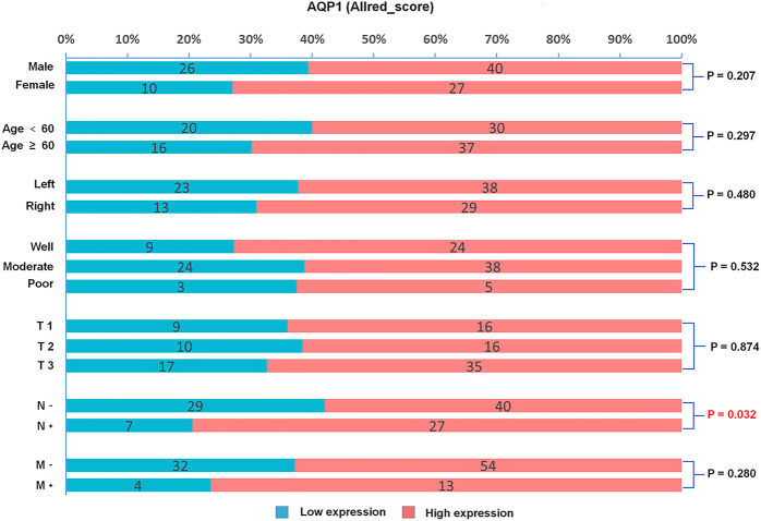 Expression of aquaporin 1, 3 and 5 in colorectal carcinoma: correlation with clinicopathological characteristics and prognosis.