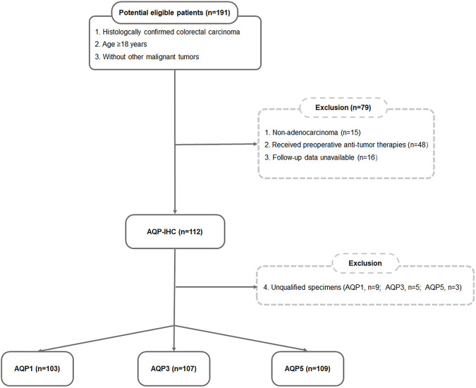 Expression of aquaporin 1, 3 and 5 in colorectal carcinoma: correlation with clinicopathological characteristics and prognosis.