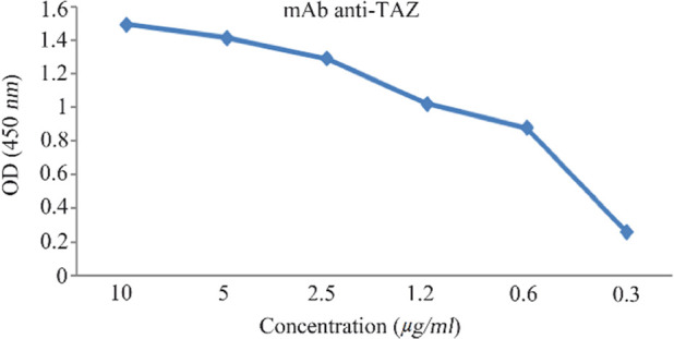 An Anti-TAZ Monoclonal Antibody Recognizing Cell Surface Expressed TAZ Protein in Human Tumor Cells.