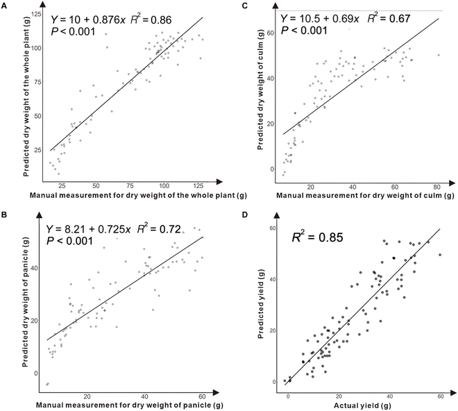 A Strategy for the Acquisition and Analysis of Image-Based Phenome in Rice during the Whole Growth Period.