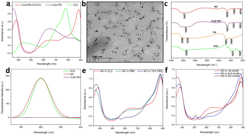 Ultra-small NIR-Responsive Nanotheranostic Agent for Targeted Photothermal Ablation Induced Damage-Associated Molecular Patterns (DAMPs) from Post-PTT of Tumor Cells Activate Immunogenic Cell Death.